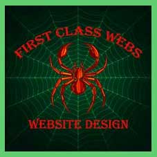 Need a Website Design?